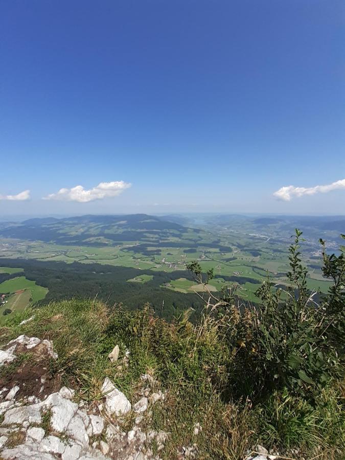 Appartment Andrea Eugendorf Zewnętrze zdjęcie