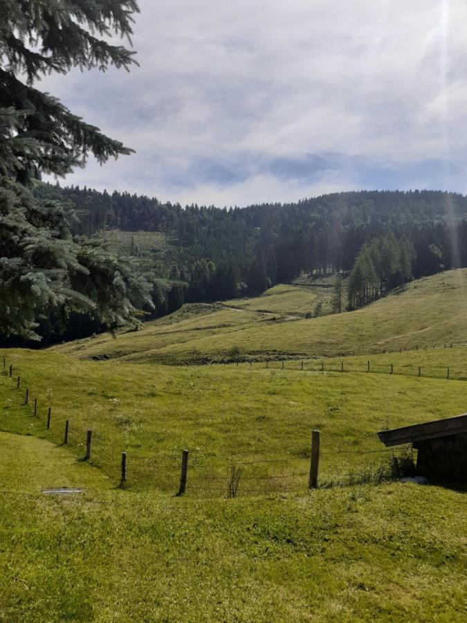 Appartment Andrea Eugendorf Zewnętrze zdjęcie